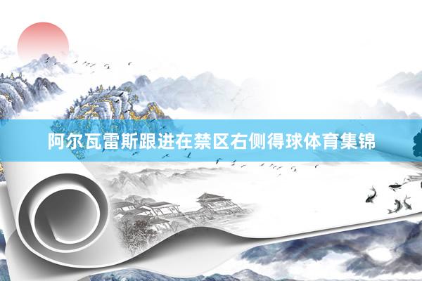 阿尔瓦雷斯跟进在禁区右侧得球体育集锦