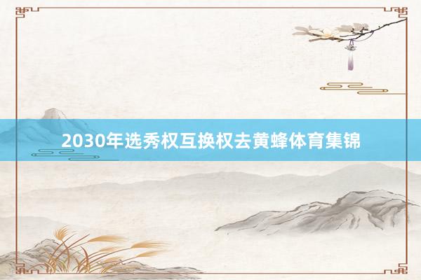 2030年选秀权互换权去黄蜂体育集锦