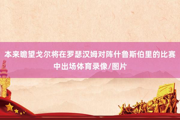本来瞻望戈尔将在罗瑟汉姆对阵什鲁斯伯里的比赛中出场体育录像/图片