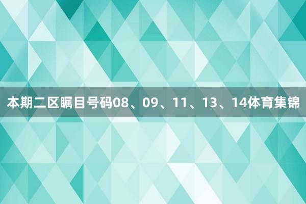 本期二区瞩目号码08、09、11、13、14体育集锦