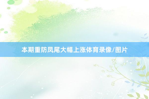 本期重防凤尾大幅上涨体育录像/图片