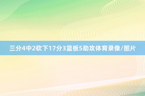 三分4中2砍下17分3篮板5助攻体育录像/图片