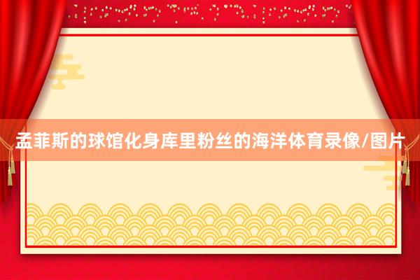 孟菲斯的球馆化身库里粉丝的海洋体育录像/图片