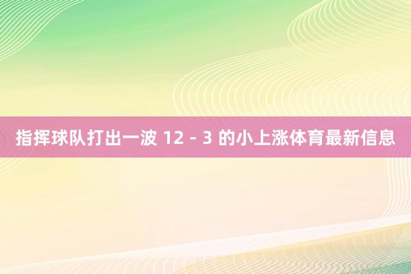 指挥球队打出一波 12 - 3 的小上涨体育最新信息