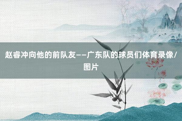 赵睿冲向他的前队友——广东队的球员们体育录像/图片