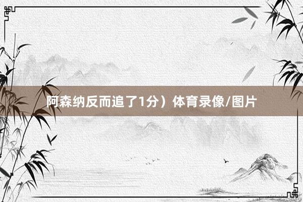 阿森纳反而追了1分）体育录像/图片