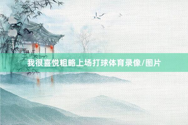 我很喜悦粗略上场打球体育录像/图片