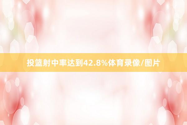 投篮射中率达到42.8%体育录像/图片