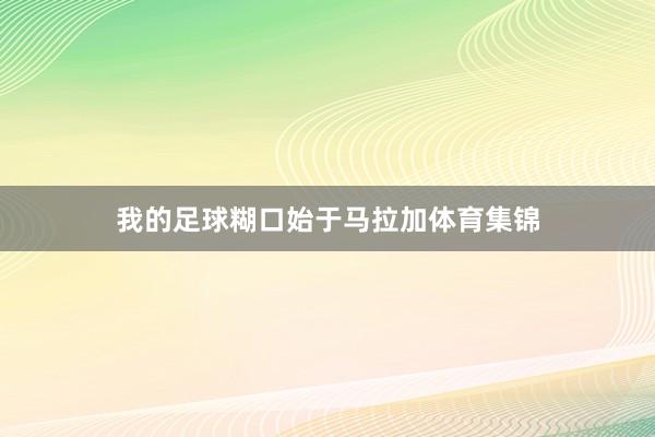 我的足球糊口始于马拉加体育集锦