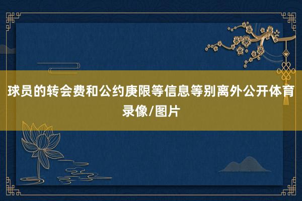 球员的转会费和公约庚限等信息等别离外公开体育录像/图片