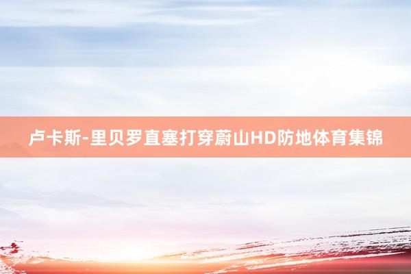 卢卡斯-里贝罗直塞打穿蔚山HD防地体育集锦
