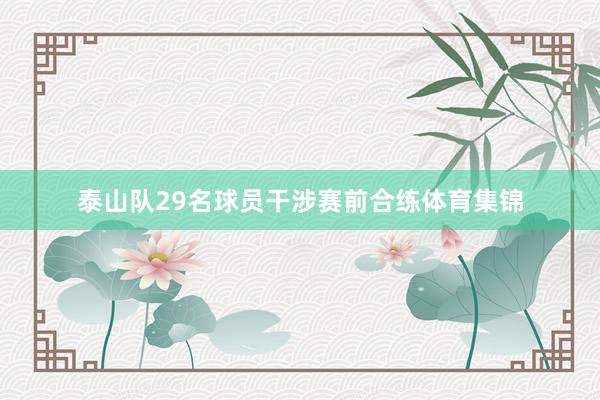 泰山队29名球员干涉赛前合练体育集锦