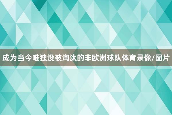 成为当今唯独没被淘汰的非欧洲球队体育录像/图片