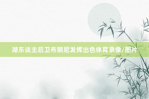 湖东谈主后卫布朗尼发挥出色体育录像/图片