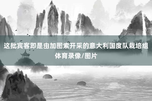 这批宾客即是由加图索开采的意大利国度队栽培组体育录像/图片