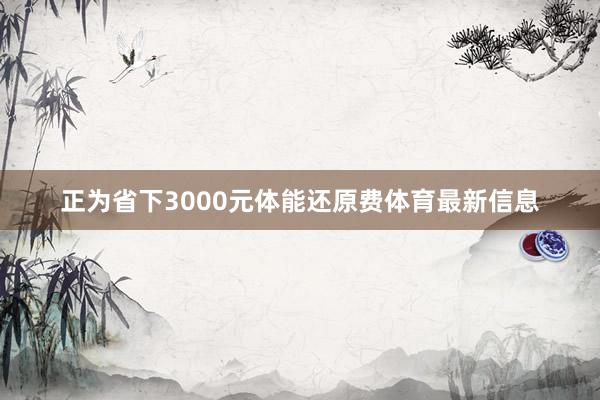 正为省下3000元体能还原费体育最新信息