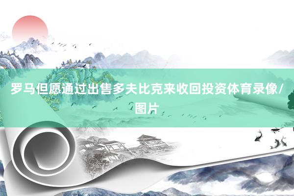 罗马但愿通过出售多夫比克来收回投资体育录像/图片