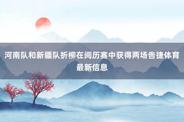 河南队和新疆队折柳在阅历赛中获得两场告捷体育最新信息