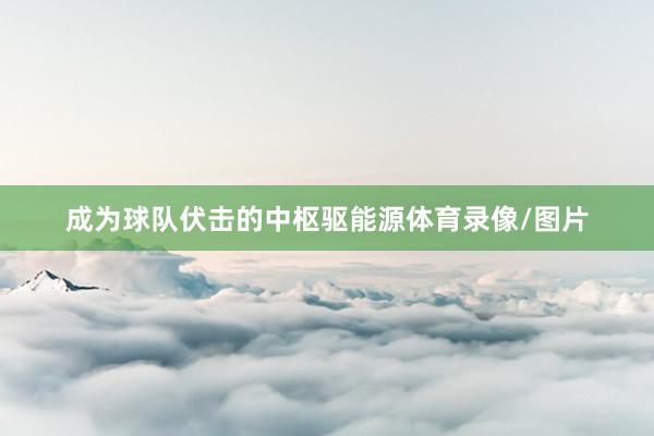 成为球队伏击的中枢驱能源体育录像/图片