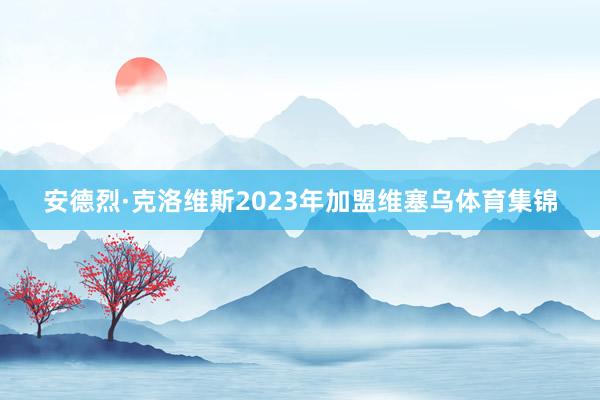 安德烈·克洛维斯2023年加盟维塞乌体育集锦