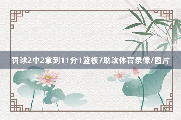罚球2中2拿到11分1篮板7助攻体育录像/图片