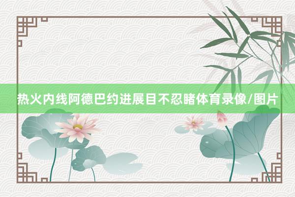 热火内线阿德巴约进展目不忍睹体育录像/图片