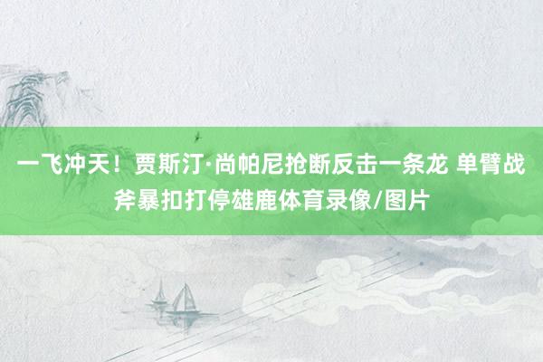 一飞冲天！贾斯汀·尚帕尼抢断反击一条龙 单臂战斧暴扣打停雄鹿体育录像/图片