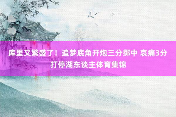 库里又繁盛了！追梦底角开炮三分掷中 哀痛3分打停湖东谈主体育集锦