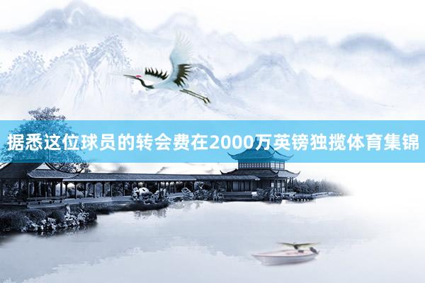 据悉这位球员的转会费在2000万英镑独揽体育集锦