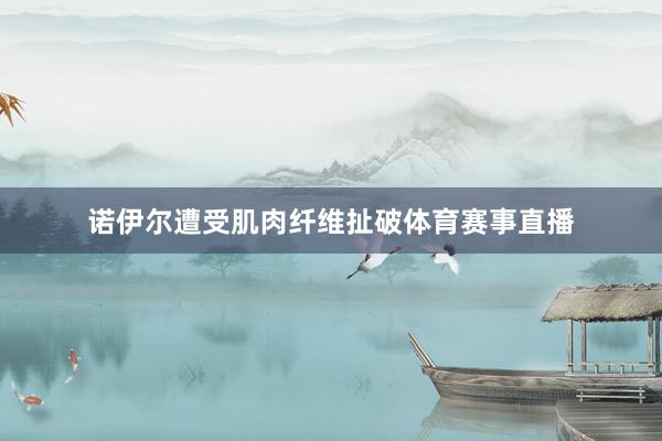 诺伊尔遭受肌肉纤维扯破体育赛事直播
