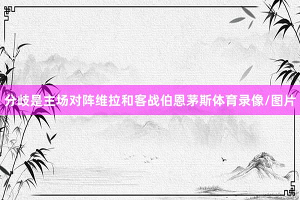 分歧是主场对阵维拉和客战伯恩茅斯体育录像/图片