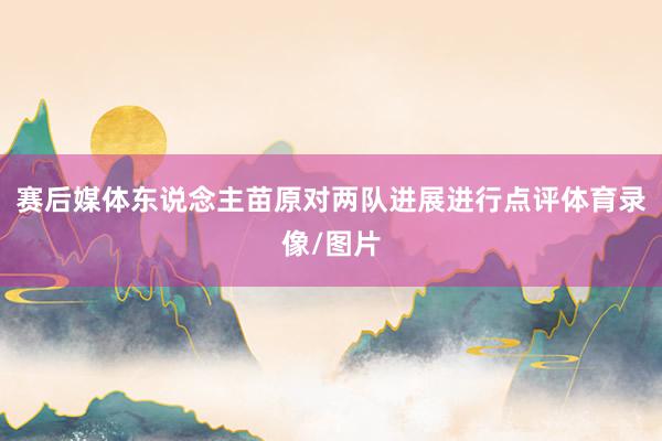 赛后媒体东说念主苗原对两队进展进行点评体育录像/图片