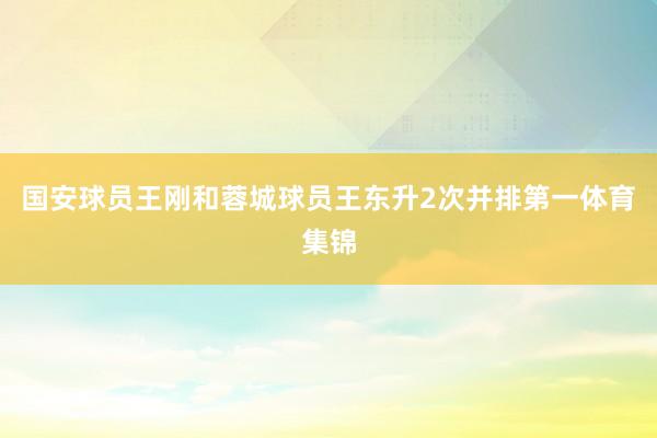 国安球员王刚和蓉城球员王东升2次并排第一体育集锦