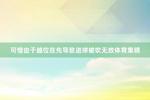 可惜由于越位在先导致进球被吹无效体育集锦