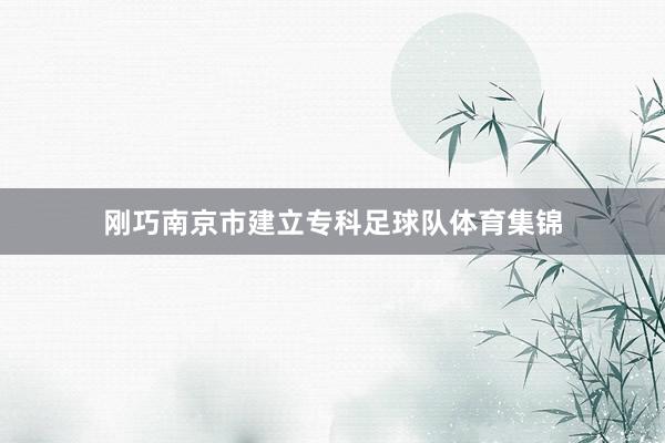 刚巧南京市建立专科足球队体育集锦