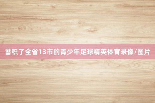 蓄积了全省13市的青少年足球精英体育录像/图片