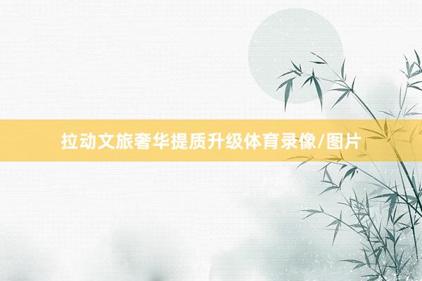 拉动文旅奢华提质升级体育录像/图片