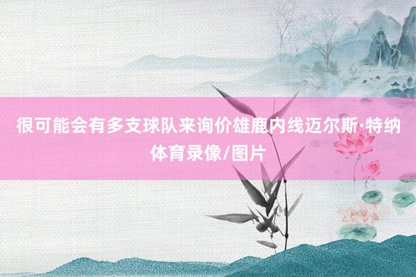 很可能会有多支球队来询价雄鹿内线迈尔斯·特纳体育录像/图片